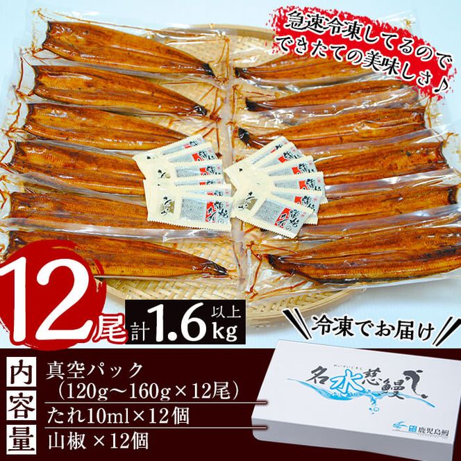 【数量限定】鹿児島県産うなぎ蒲焼 名水慈鰻 12尾(1尾約120g以上)＜計約1.6kg以上＞ f2-003