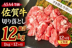 【12回定期便】佐賀牛 切り落とし 1000g（500g×2)（合計12kg）【すき焼き用牛肉 すき焼き用 すき焼き 牛丼 A5 A4 希少 国産和牛 牛肉 肉 牛】(H085196)