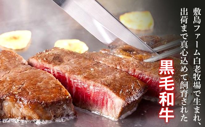 白老和牛ステーキ・すきしゃぶセット（A）《敷島ファーム》 BF014