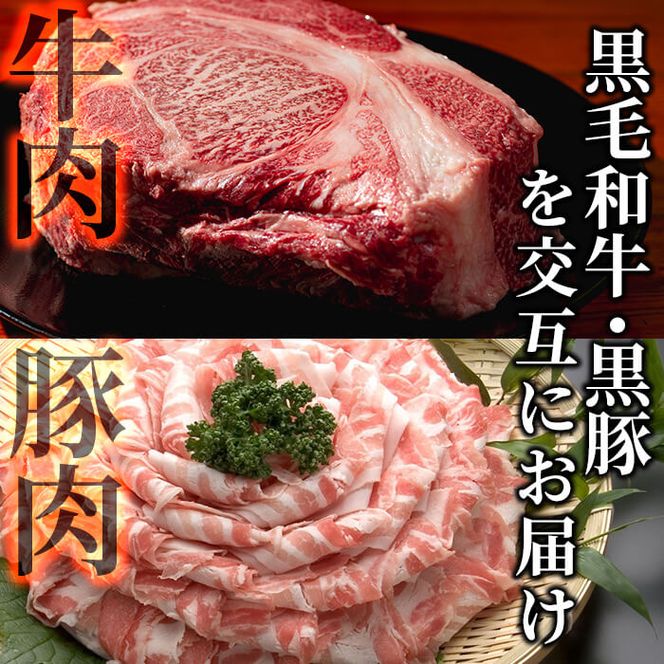 【定期便全6回】黒毛和牛・黒豚を交互にお届け！＜志布志牛・豚 満足定期コース＞計6.3kg超！ t0100-026-02