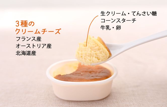 099H2833 半熟チーズ 10個入り【洋菓子 スイーツ おやつ てんさい糖】