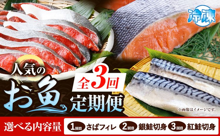 [定期便 全3回]サバフィレ 銀鮭切身 紅鮭切身 選べる 内容量 株式会社魚鶴商店[お申し込み月の翌月より出荷開始] 和歌山県 日高町 鮭 さけ 紅さけ 切り身 さば 塩さば 焼き魚 焼くだけ 簡単 魚 さかな---wsh_uotteie2_24_35000_mo3num1---