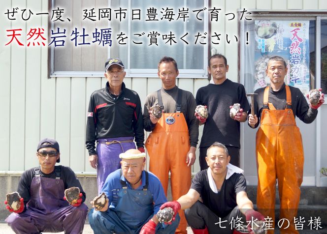 延岡産天然岩牡蠣（生食用）10kg（小）（2024年4月1日から発送開始）　N036-ZD025