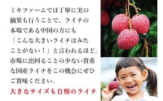 ＜宮崎県産 生ライチ 500g＞ 2025年7月上旬～7月下旬迄に順次出荷【c644_mk_x5】