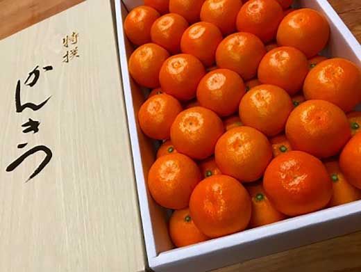年内発送 完熟早生 有田みかん 化粧箱 特秀 小玉 SS サイズ 54玉入 和歌山 南泰園 みかん BS638　