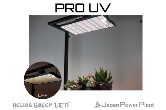 BN036-1　人気モデルPROに新ラインナップ「Helios Green LED PRO　UV」