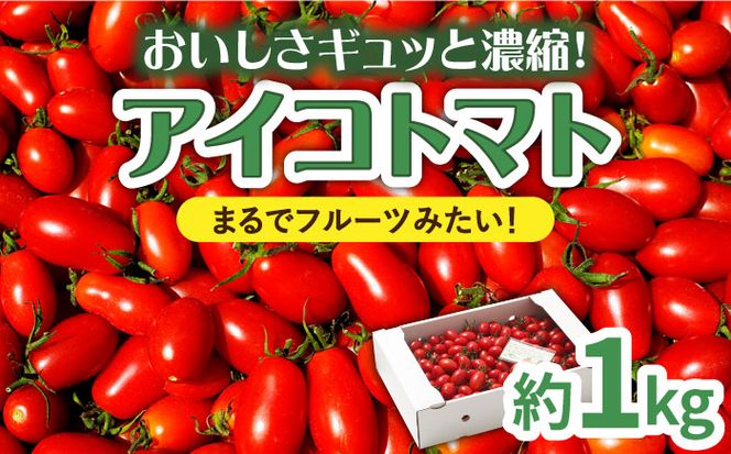 【2026年1月～発送】【完熟ミニトマト】アイコトマト 約1kg / トマト とまと 野菜 / 南島原市 / 長崎県農産品流通合同会社 [SCB039]