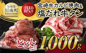 【訳あり】 宮崎牛カルビ焼肉＆塩だれ牛タン　計1,000g 【 肉 宮崎牛 カルビ 牛肉 牛たん たん 厚切り 塩ダレ 塩だれ タン 味付き BBQ 焼肉 焼き肉 焼くだけ おかず 簡単調理 】[E11148]