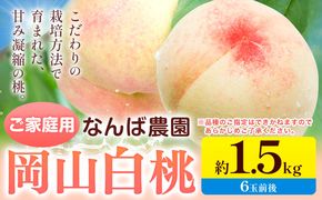 【2025年先行予約】ご家庭用 岡山白桃 約1.5kg ( 6玉 前後 ) 《2025年6月中旬-8月下旬頃出荷》なんば農園 岡山県 浅口市 フルーツ モモ 果物 青果 旬 白桃 桃 訳アリ わけあり 訳あり 【配送不可地域あり】---124_706_6c8g_24_17000_6--