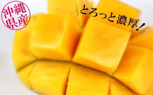 yꌧdzypzystE2026z}}``}S[t@[̑pAbv}S[1kg - s\ ꌧY Yn 썑t[c {̖o {̃t[c 蕨 Mtg ꌧ d