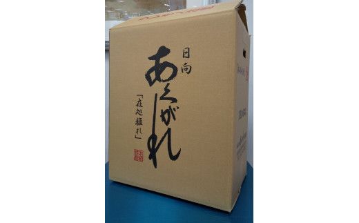 焼酎 芋 あくがれ白麹（1800ml×6本) [七福酒店 宮崎県 日向市 60-05] 甕壷 本格焼酎 白麹