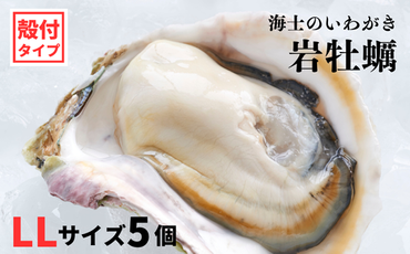 [海士のいわがき]新鮮クリーミーな高級岩牡蠣 殻付きLLサイズ×5個