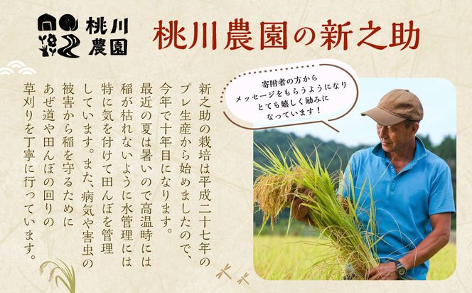 【精米即日発送・令和7年産米】新潟県村上市産  新之助 12kg　B4073