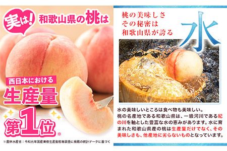 先行予約 桃 もも 和歌山県産 約2kg 《2024年6月中旬-8月中旬頃出荷