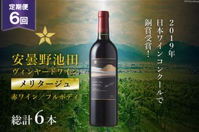 6回 定期便 赤ワイン サッポロ グランポレール 安曇野池田ヴィンヤード「メリタージュ」750ml 総計6本 [池田町ハーブセンター 長野県 池田町 48110613] 赤 ワイン フルボディ 濃厚 凝縮 お酒 酒