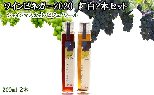 ワインビネガー ２０２０年 紅白２本セット(シャインマスカット・ビジュノワール）各２００ｍｌ【2-125】