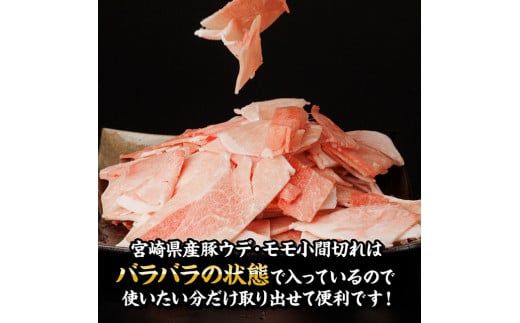 【訳あり定期便】宮崎県産豚肉 お楽しみセット6ヶ月定期便【 ロース とんかつ 豚バラ しゃぶしゃぶ 生姜焼き 小間切れ 豚 肉 豚肉 ミヤチク 全6回 】[D00638t6]