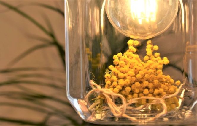 015B156 To-may空間／トーメイクウカン（電球別途）