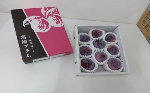 【2025年発送分】【糖度16度以上！】すもも『ふかさわ』（8〜11個入り/約1.3〜1.5kg）スモモ すもも 李 プラム フルーツ 果物 くだもの 山梨 やまなし 富士川町