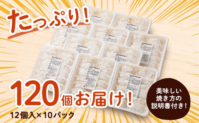 国産素材にこだわった黒豚餃子120個　K111-015