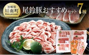 尾鈴豚おすすめセット 【 肉 豚肉 精肉 肉加工品 惣菜 詰め合わせ ロースしゃぶ ロースカツ カタロース バラ 骨付きフランク あらびきウインナー 生ハム ロース 】 [C00402]