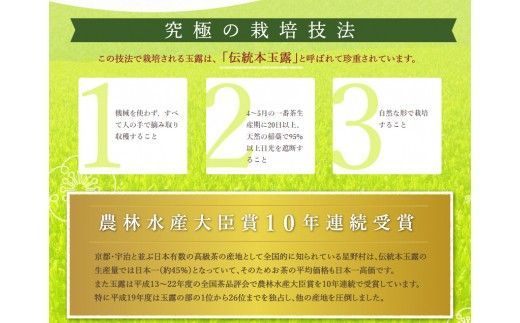 【D5-044】八女星野茶 星乃煌 玉露150ｇ×1 煎茶150ｇ×1