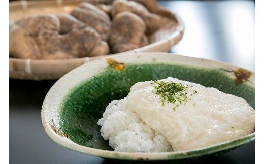 D020 徳地やまのいものすりおろしトロロ 100g×10個（山口県山口市