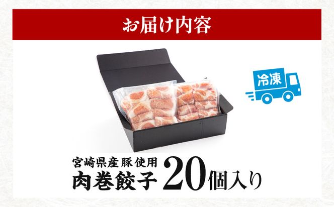 宮崎県産 豚 使用 肉巻 餃子 20個入り_M132-034