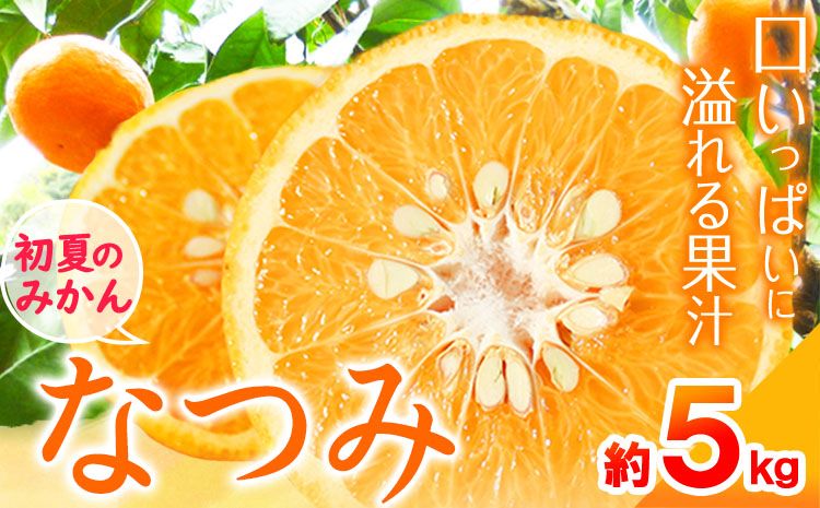 [先行予約]初夏のみかん なつみ約5kg 株式会社 魚鶴商店[2026年4月中旬-4月下旬頃出荷] 和歌山県 日高町 みかん なつみ 南津海 柑橘 果物 フルーツ 送料無料---wsh_uot139_4c4g_25_14000_5kg---