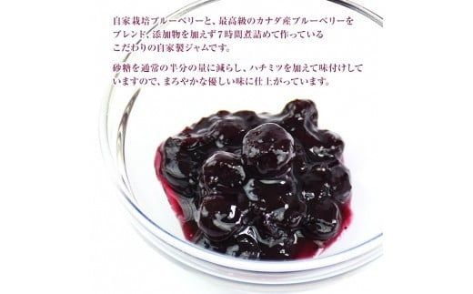 ＜ソフトクリーム屋さんの自家製ブルーベリージャム250g×3＞2か月以内に順次出荷【c584_sn_x2】 ジャム 3個