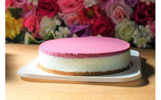 【築上町産ブルーベリー使用】 ブルーベリー ヨーグルト ムース ケーキ《築上町》【(有)工房よしかわ】 国産 ブルーベリー [ABAK002]