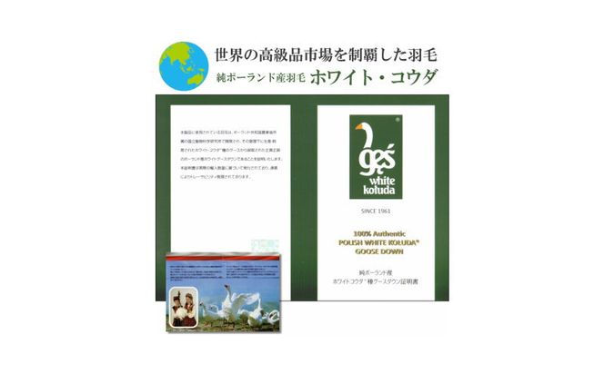 AM042【クィーン】 【プレミアムゴールド】コウダ種ポーランドマザーグース2枚合わせ羽毛ふとん【新津】｜合い掛け　肌掛け　オールシーズン