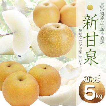1373 鳥取県産 新甘泉梨(贈答用) 赤秀 5kg詰(いまる)