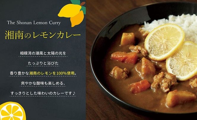 85-2628　【100％湘南のレモン果汁を使ったカレー10食セット】相模湾の太陽と潮風が育んだ爽やかな味わいを、お手軽に楽しめます！！【 カレー 神奈川県 小田原市 】