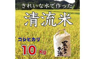 No.380 コシヒカリ　10kg ／ お米 こしひかり 群馬県