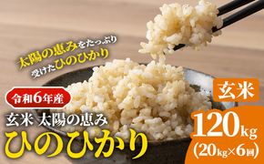 【令和6年産 予約受付】玄米 岡山県産 ひのひかり 笠岡産 120kg(20kg×6回)《10月下旬-9月下旬頃出荷》農事組合法人奥山営農組合 太陽の恵み---O-06_120k_玄米---