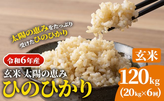 【令和6年産 予約受付】玄米 岡山県産 ひのひかり 笠岡産 120kg(20kg×6回)《10月下旬-9月下旬頃出荷》農事組合法人奥山営農組合 太陽の恵み---O-06_120k_玄米---