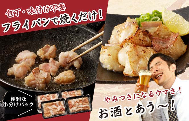 010B1513 国産 牛肉 ホルモン 1kg 塩だれ漬け 焼肉用 小分け 250g×4P