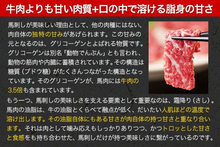 熊本特産馬刺し 馬刺し4種の盛り合わせ【極上大トロ馬刺し80g/特選霜降り馬刺し80g/ロース馬刺し80g×3/赤身馬刺し80g×4】+タレ360ml付き《30日以内に出荷予定(土日祝除く)》---mna_fj4set02_30d_r7_50000_720g---