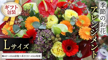 ≪ギフト≫季節のお花アレンジメントL [CT019ci]