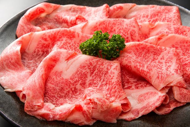 牛肉 【A4～A5】 博多和牛 肩ロース 600g しゃぶすき焼き用 [MEAT PLUS 福岡県 筑紫野市 21761018]
