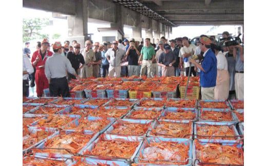 【香住ガニ 生足 6肩 かにすきダシ付 冷凍】 本場 香住産 水揚げ 生足 加工冷凍 焼きがに かに鍋 かに汁 数量限定 兵庫県 香美町 香住 かに ベニズワイガニ 足 爪 日本海フーズ 07-35