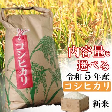 漁師直送 活き〆天然地金目鯛【八金目】９００ｇ～１ｋｇ １匹 yu009