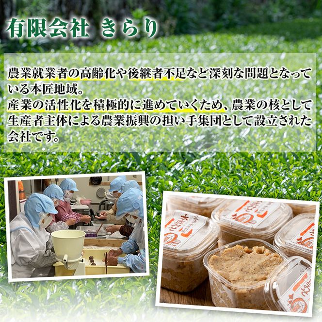 因尾茶 ティーバッグ (計66個・22個入×3袋) お茶 緑茶 茶 煎茶 ティーバッグ 釜炒り 因尾茶 特産品 お取り寄せ 大分県 佐伯市【AH67】【(有)きらり】