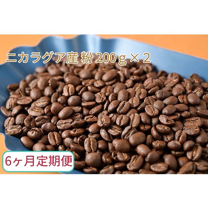 C-31【6ヶ月定期便】カフェ・フランドル厳選　コーヒー豆　ニカラグア産(200g×2)挽いた豆