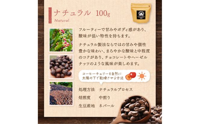 【訳あり】スペシャルティコーヒー 豆 200g ～極北の秘宝！ヒマラヤ（ネパール）の恵みを受けた自家焙煎～【166-0001】