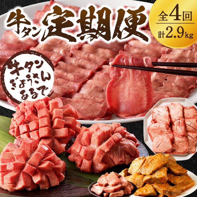 牛タン定期便【全4回】《 牛タン タン 厳選 定期便 牛肉 牛 焼肉 BBQ お取り寄せグルメ 食品 バーベキュー 送料無料　お取り寄せ 》【2410A99803】