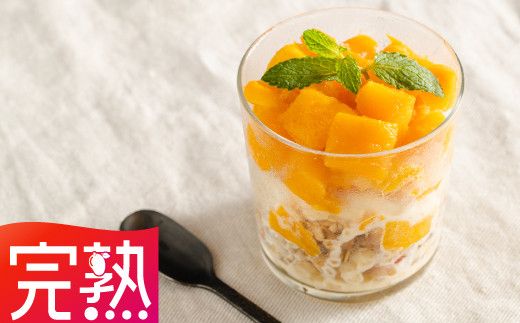 【完熟三養基マンゴー】冷凍スライスマンゴー 400g C-531