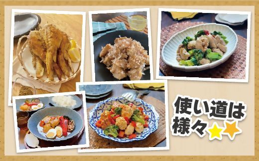 宗像産ブランド鶏【むなかた鶏】モモ肉4kg（平飼い）【JAほたるの里】_HA1416