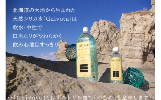 ＜Gaivota　2箱（500ml×24本/箱)＞北のハイグレード食品　北海道乙部町の天然シリカ水